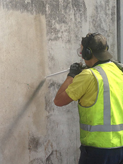 Mould Removal Melbourne